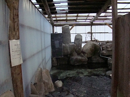 大鶴温泉 「 男湯 」 浴室入口