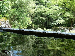 若山温泉 「 混浴露天風呂 」 お風呂からの景色