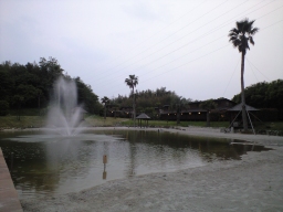 「 Amandi 」 池