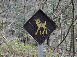 「 旅行人山荘 」 鹿の標識