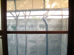 熊入温泉センター 「 ぼたん 」 窓からの景色