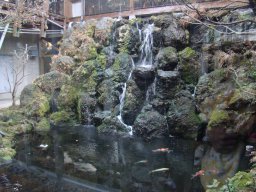 「 阿蘇白水温泉 瑠璃 」 中庭の鯉
