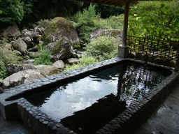 若山温泉 「 混浴露天風呂 」 お風呂