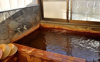 炭酸温泉 山里の湯